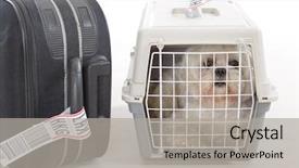  Presentation with airline - Presentation design consisting of carrier waiting at the airport background and a light gray colored foreground