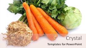  Presentation with carrots - Audience pleasing presentation consisting of carrots-celery-and-kohlrabi-raw backdrop and a lemonade colored foreground