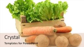  Presentation with carrots - Slides having carrots in a wooden crate background and a  colored foreground