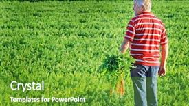  Presentation with healty - PPT theme having carrots in his hand background and a  colored foreground