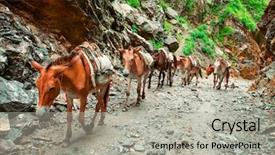  Presentation with mountains - Amazing slide set having carrying donkey - beautiful landscape in himalayas mountains backdrop and a light gray colored foreground