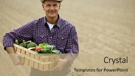  Presentation with vegetables - Presentation enhanced with carrying a crate of vegetables background and a coral colored foreground