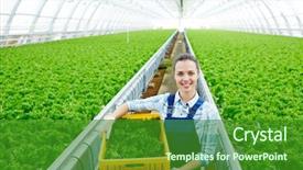  Presentation with young - Slides having carrying box with fresh lettuce background and a forest green colored foreground