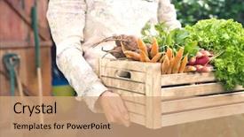  Presentation with vegetables - Amazing PPT layouts having midsection of woman carrying crate full of freshly harvested vegetables in garden backdrop and a coral colored foreground