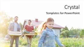  Presentation with border organic vegetables on wood - Audience pleasing presentation consisting of carrying organic vegetables in crate backdrop and a  colored foreground