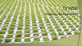  Presentation with green roof - Cool new PPT theme with cars and a green backdrop and a yellow colored foreground