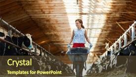  Presentation with full length portrait two men women brown sweater - Theme having rural living - full length portrait of cheerful background and a tawny brown colored foreground