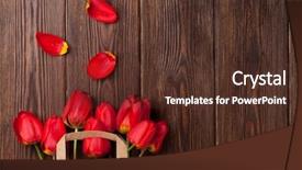  Presentation with brown paper bag - Presentation theme enhanced with carton flower - red tulips bouquet in paper background and a tawny brown colored foreground