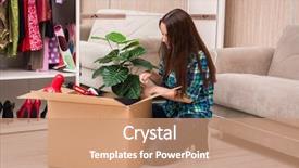  Presentation with personal belongings - Beautiful PPT theme featuring carton flower - young woman packing personal belongings backdrop and a  colored foreground