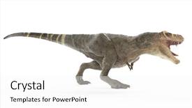  Presentation with cartoon animal - Beautiful theme featuring cartoon animal - 3d rendered medically accurate illustration backdrop and a white colored foreground