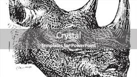  Presentation with dictionary - Presentation consisting of cartoon animal - black rhinoceros or hook-lipped rhinoceros background and a gray colored foreground