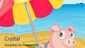  Presentation with cartoon pig - PPT theme with cartoon animal - illustration of pig background and a yellow colored foreground