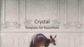  Presentation with kangaroo - Colorful PPT theme enhanced with cartoon animal - kangaroo in the room interior backdrop and a light gray colored foreground