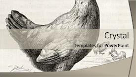  Presentation with cartoon animal - PPT theme featuring cartoon animal - malay hen old illustration created background and a soft green colored foreground