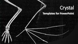  Presentation with humanity - Amazing slide set having cartoon animal - skeleton of the arm backdrop and a black colored foreground