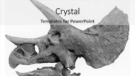  Presentation with humanity - Theme featuring cartoon animal - skeleton of the head background and a light gray colored foreground