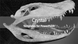  Presentation with jaw - Slides enhanced with cartoon animal - skull and lower jaw background and a gray colored foreground