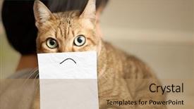  Presentation with cartoon animals - Audience pleasing slides consisting of cartoon animals - cat lie on shoulder backdrop and a coral colored foreground