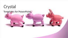  Presentation with cartoon animals - Audience pleasing slides consisting of cartoon animals - cute pink pig of plasticine backdrop and a white colored foreground