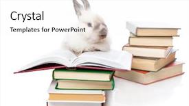  Presentation with cartoon animals - Theme featuring cartoon animals - cute rabbit is reading background and a white colored foreground