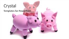  Presentation with pigs - Slide deck with cartoon animals - three piglets cute pink pigs background and a white colored foreground
