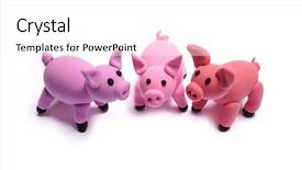  Presentation with pigs - PPT layouts having cartoon animals - three piglets cute pink pigs background and a white colored foreground
