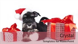  Presentation with santa - Colorful PPT theme enhanced with cartoon animals christmas - dog schnauzer wearing a santa backdrop and a coral colored foreground