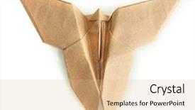  Presentation with butterfly colombia - Beautiful PPT theme featuring cartoon animals christmas - origami butterfly isolated on white backdrop and a coral colored foreground