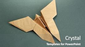  Presentation with butterfly - Cool new presentation with cartoon animals christmas - origami butterfly on grey background backdrop and a gray colored foreground