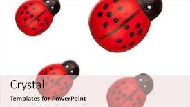  Presentation with ladybugs - Slides having cartoon bug - ladybugs isolated family concept background and a lemonade colored foreground