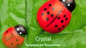  Presentation with ladybugs - Amazing PPT layouts having cartoon bug - ladybugs on the leaf family backdrop and a forest green colored foreground