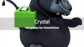  Presentation with cartoon - Cool new presentation theme with cartoon cows - black bull - 3d illustration backdrop and a wine colored foreground