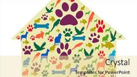  Presentation with pets - Audience pleasing theme consisting of cartoon fish - pets care icons set pets backdrop and a blonde colored foreground