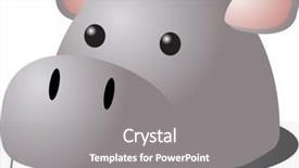  Presentation with cartoon - Cool new slides with cartoon head of a hippopotamus backdrop and a gray colored foreground