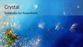  Presentation with pink and blue acrylic - Cool new PPT theme with cartoon nature - acrylic painted scene backdrop and a light blue colored foreground