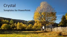  Presentation with cartoon - Audience pleasing presentation theme consisting of cartoon plants - autumn landscape with colorful tree backdrop and a light blue colored foreground