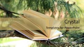  Presentation with branch - Slide set enhanced with cartoon plants - book on tree branch close-up background and a yellow colored foreground