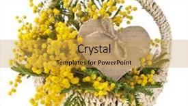  Presentation with white flowers - Slide deck enhanced with cartoon plants - bouquet mimosa acacia flowers background and a yellow colored foreground
