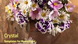  Presentation with ceramic ware - Beautiful presentation featuring cartoon plants - bouquet of daisies in ceramic backdrop and a tawny brown colored foreground