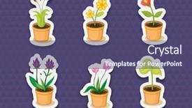  Presentation with cracker plant - Presentation theme with cartoon plants - illustration of plant stickers background and a  colored foreground