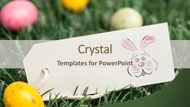  Presentation with easter bunny yellow spring flower - Presentation theme enhanced with cartoon rabbit - easter bunny against blank tag background and a sky blue colored foreground