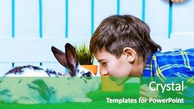  Presentation with happy holidays - Presentation design having cartoon rabbit - happy child boy lying background and a shamrock green colored foreground