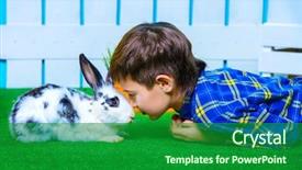  Presentation with happy holidays - Cool new slide set with cartoon rabbit - happy child boy lying backdrop and a forest green colored foreground