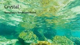  Presentation with ocean cartoon - Cool new presentation with ocean underwater background - luxury nature backdrop and a mint green colored foreground
