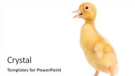  Presentation with cartoon character - Colorful theme enhanced with cartoon style character with big backdrop and a white colored foreground