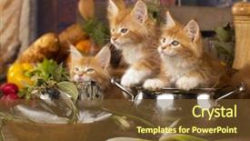  Presentation with cat - Amazing PPT theme having cartoon zoo - cat cook backdrop and a tawny brown colored foreground