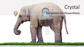  Presentation with elephant - PPT layouts enhanced with cartoon zoo - elephant as a house creative background and a light gray colored foreground