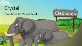  Presentation with signboard - PPT theme having cartoon zoo - illustration of a small background and a arctic colored foreground