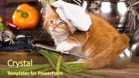  Presentation with kitten - Slides featuring cartoon zoo - kitten in the kitchen background and a tawny brown colored foreground
