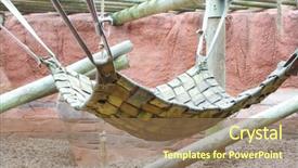  Presentation with zoo animal cartoon - Audience pleasing presentation theme consisting of cartoon zoo - leather hammock for large animal backdrop and a coral colored foreground